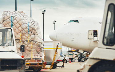 02 06 PET Filipe noticia 374 234